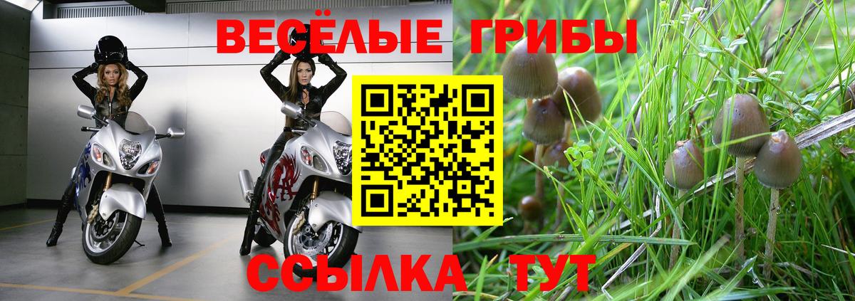 Галлюциногенные грибы Cubensis  Вход с VPN  Галлюциногенные грибы Magic Shrooms  Калач-на-Дону 